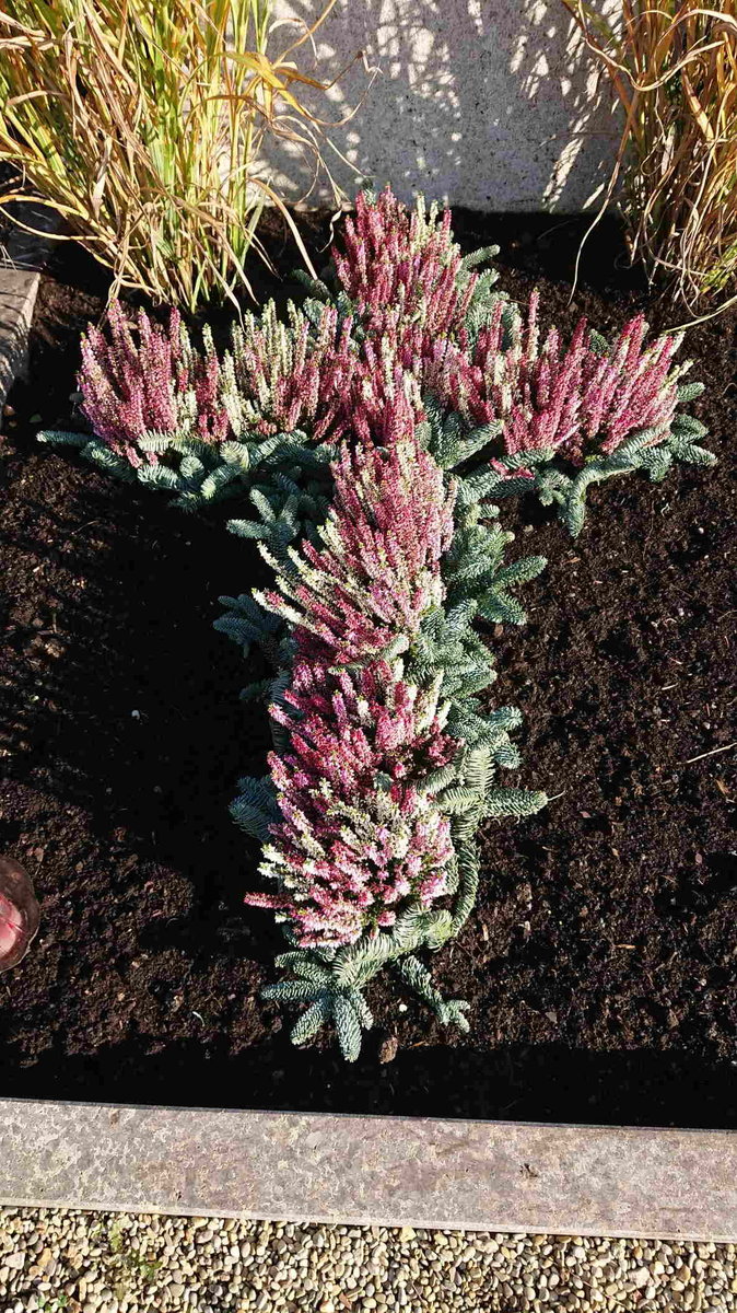 Grabgestaltung von Blumen Selzle Gärtnerei & Blumenladen